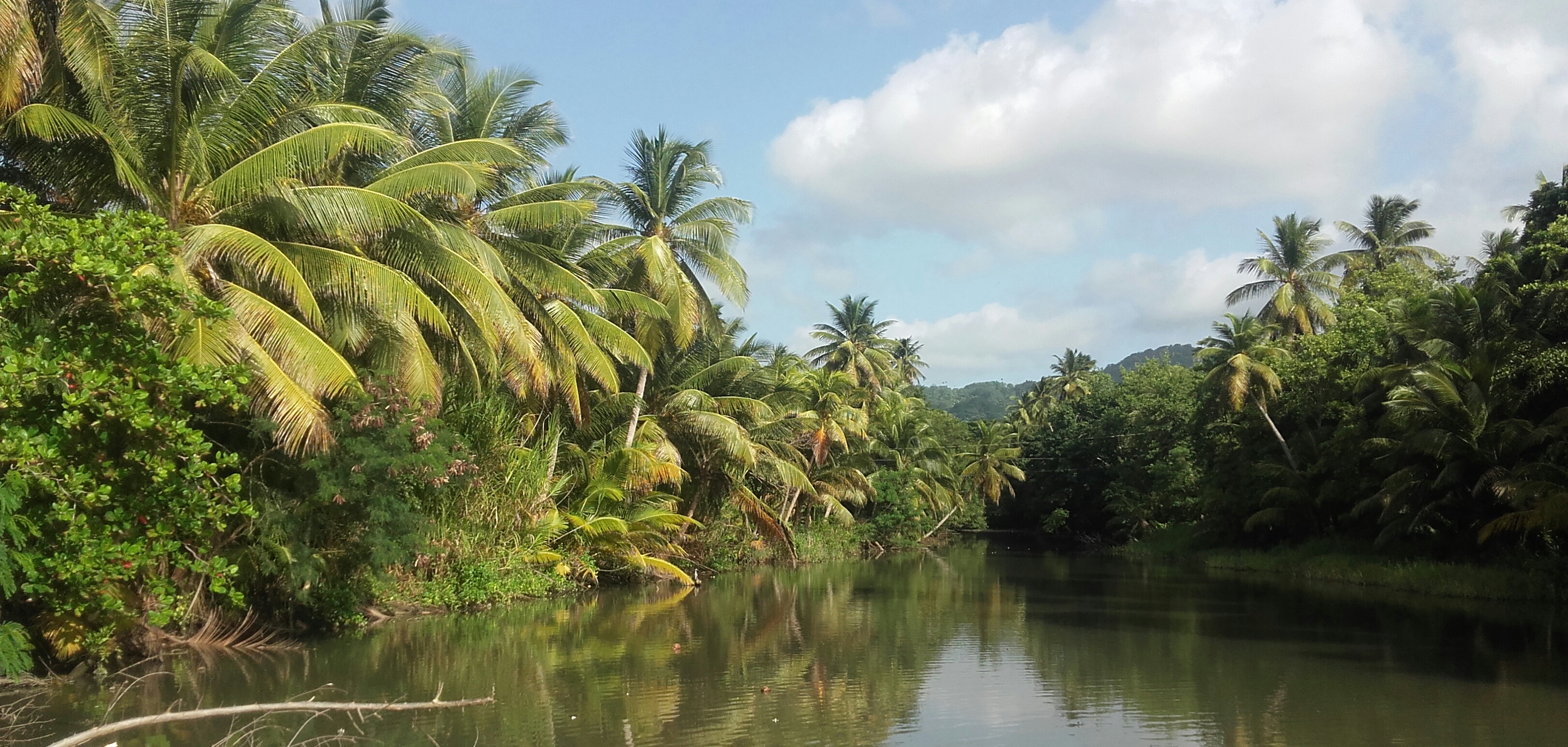 marigot bay